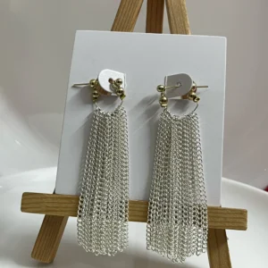 Aachri Silver Shine Long Multi Chain Drop Earring